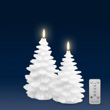 Load image into Gallery viewer, UYUNI Lighting Festive Duo