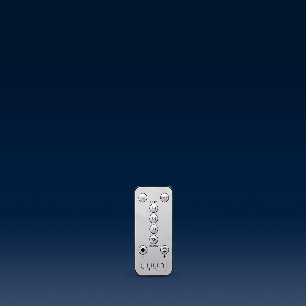 Remote Control with Captive Screw
